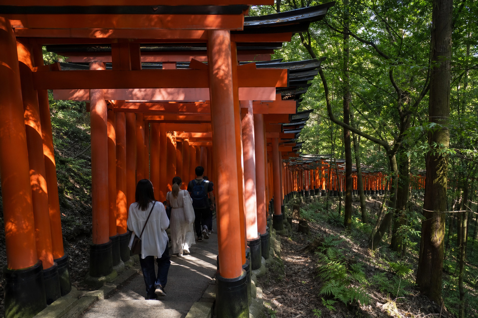 A tunnel of thousands of vermillion torii gates climbing a wooded hillside at Fushimi Inari Taisha in Kyoto